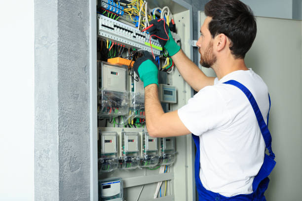 Best Electric Panel Repair  in Des Peres, MO